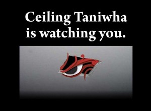 Ceiling Taniwha is watching you.